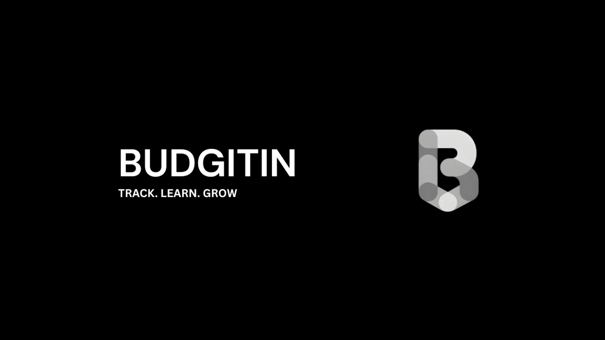 Introducing Budgitin