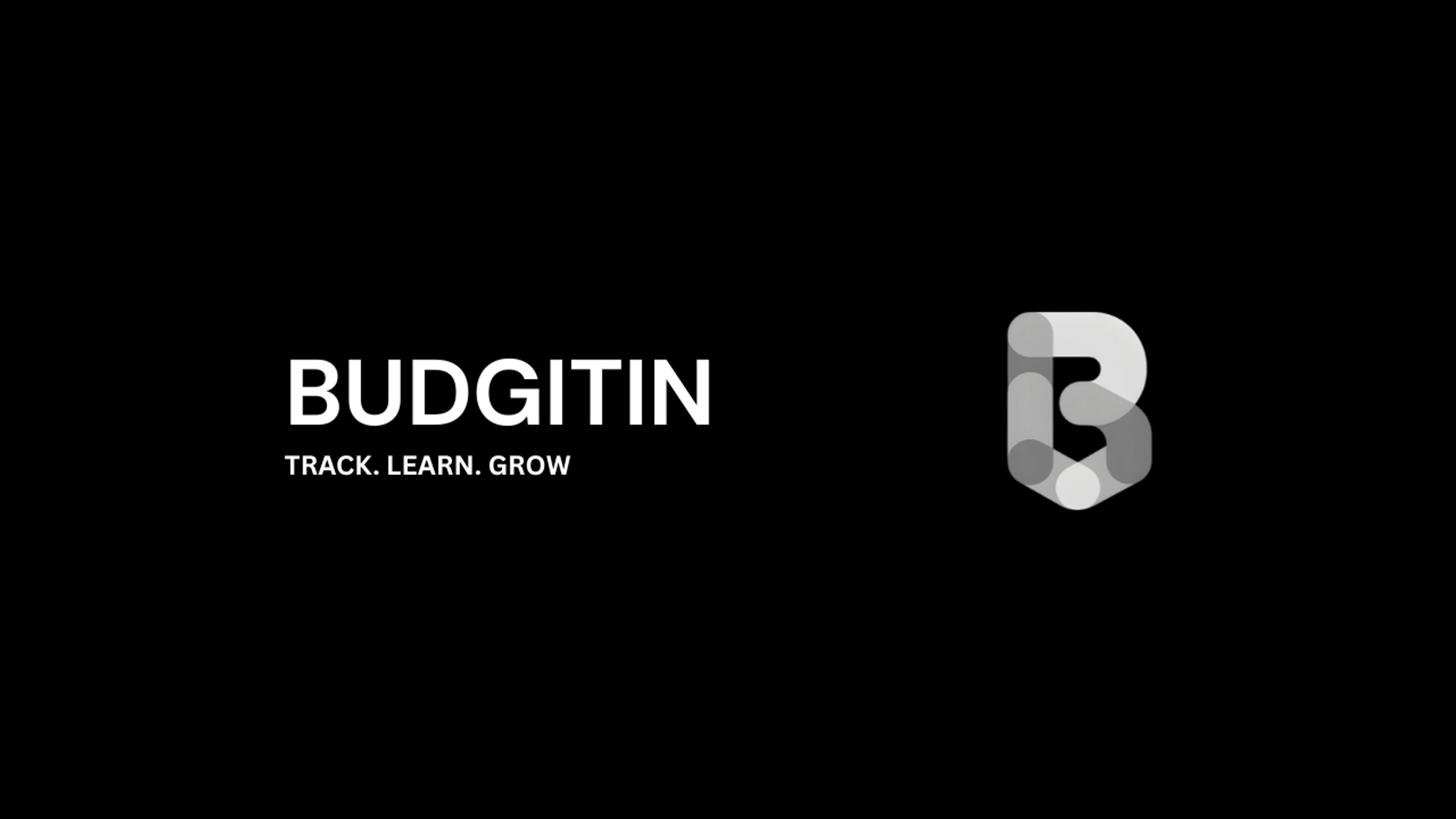 Cover image for Introducing Budgitin